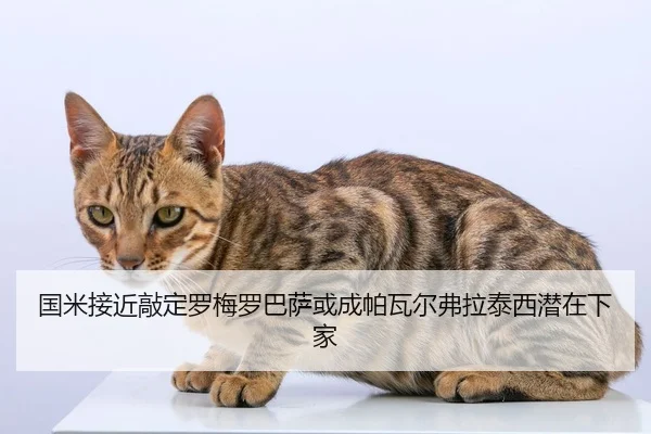国米接近敲定罗梅罗巴萨或成帕瓦尔弗拉泰西潜在下家
